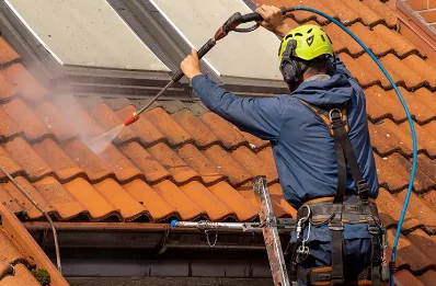 Démoussage et hydrofuge de toiture à Cevins